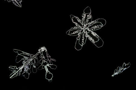 Extreme closeup of natural snowflakes.の写真素材