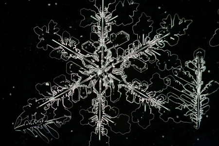 Extreme closeup of natural snowflake.の写真素材