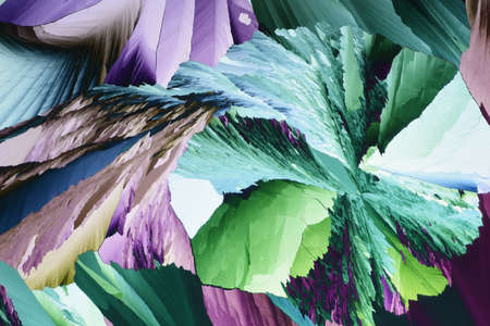 Photo through a microscope of crystals growing from the melt of ammonia alum. Polarized light...