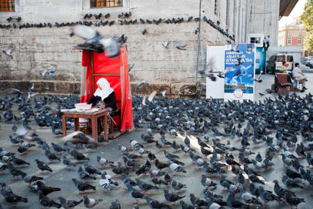 Yeni Cami in Eminonu neighborhood of Istanbul, Turkey. Square full of pigeons.のeditorial素材
