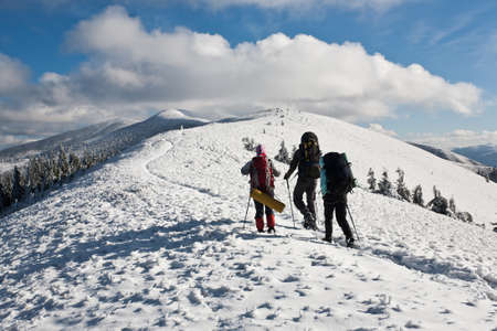 Group of hikers moving to the top in winter mountain.の写真素材