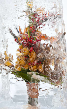 Flowers frozen in ice, art winter background.の写真素材