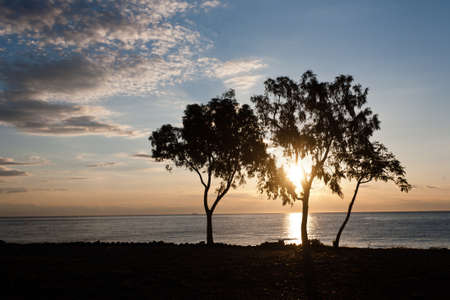Sea landscape with great sunrise with trees and blue sea の写真素材