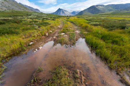 Magic mountain landscape with swamp, Ural mountains, Russia.の写真素材