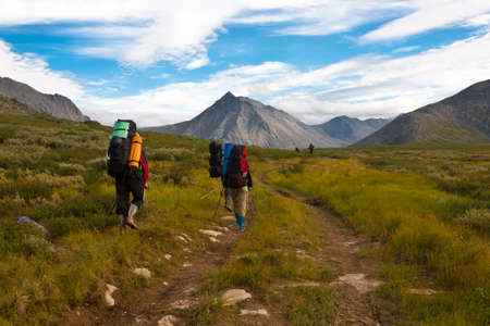 Group of hikers moving on wild meadows of Ural mountains, Russia.の写真素材