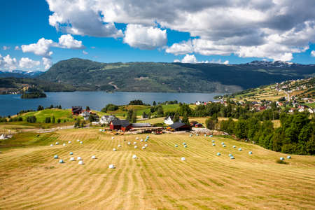 Fjord landscape with haystacks in Norway.