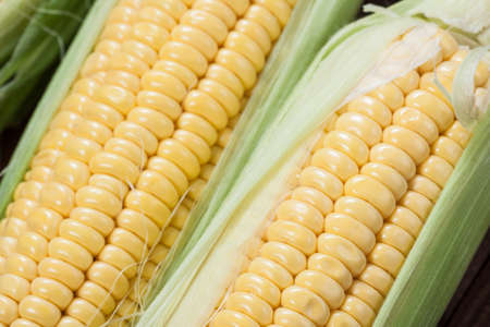 Ripe corn macro view on wooden background.