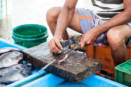 Man preparing raw fish at market in Sri Lanka.の写真素材
