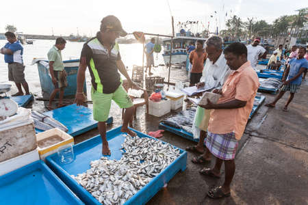 Tangalle, Sri Lanka - January 31, 2017: Crowds of people on fish market. People buying and selling fresh raw fish.のeditorial素材