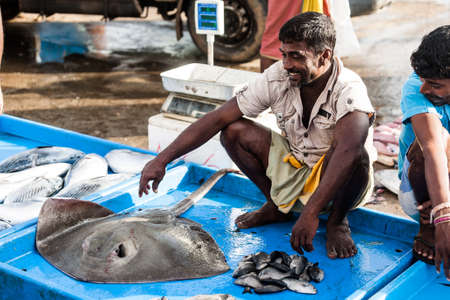 Tangalle, Sri Lanka - January 31, 2017: Unknown man selling stingray at fish market in Sri Lanka.のeditorial素材