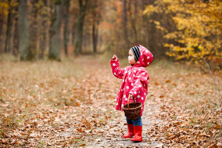 Little girl in autumn forest with basket, looking for the mushrooms. Fall day. Little girl in pea...