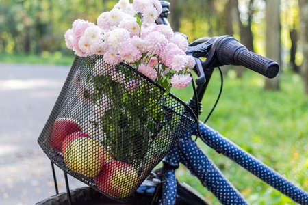 Close view on bike basket with flowers and apples. Autumn and sport time relax concept.の写真素材