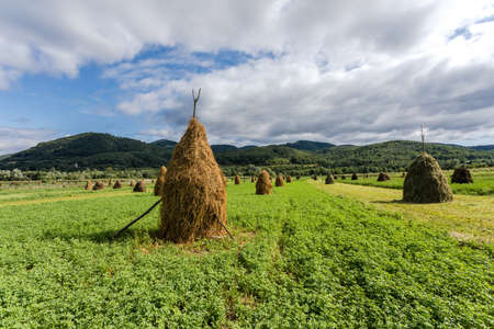 Mountain landscape with built around haystacks in Carphatian mountains, Romania.の写真素材
