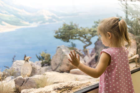 Little girl exploring paleontology museum in search for dinosaurs. Education time concept.の写真素材