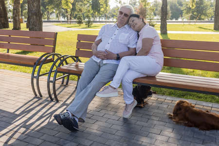 Senior couple relaxing in the park at sunny. Retired couple relax time. Love and tenderness live even if you are old.の写真素材