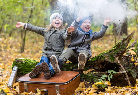 Children playing in autumn forest full of yellow leaves with vintage suitcase. Siitng on an old tree with spooky mist over them.の写真素材
