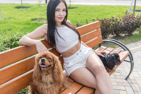 Attractive woman relaxing with her two adorable dogs. Two cavalier king charles spaniel dogs.の写真素材