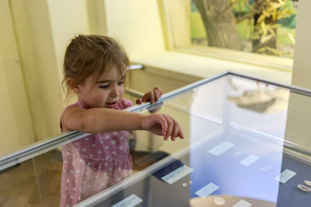 Little girl exploring paleontology museum in search for dinosaurs. Education time concept.の写真素材
