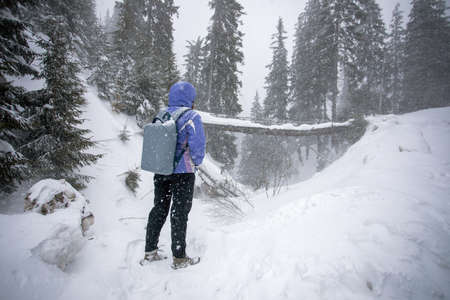 Woman in winter forest hiking in snow with backpack and pink jacket, walking outdoors amongst trees. Freedom and traveling concept.の写真素材