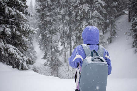 Woman in winter forest hiking in snow with backpack and pink jacket, walking outdoors amongst trees. Freedom and traveling concept.の写真素材