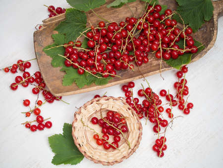 Freshly picked red currand on a white table