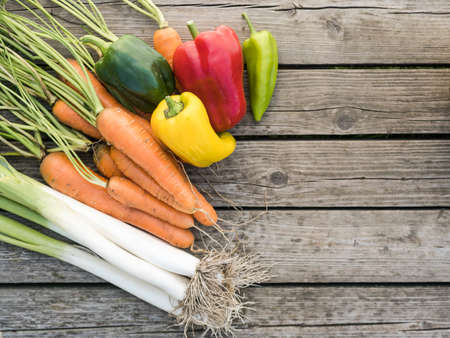 Home-grown freshly picked leek, carrot and bell pepper