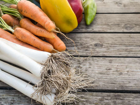 Home-grown freshly picked leek, carrot and bell pepper