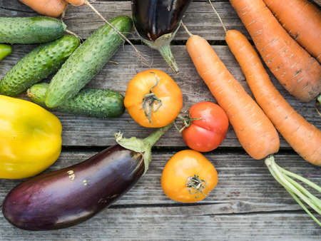 Freshly picked organic home-grown vegetables on a wooden background