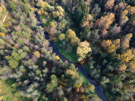 Aerial drone view of autumn forest and small river on a sunny day