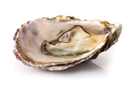 Fresh opened oyster isolated on white background