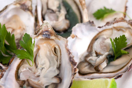 Fresh opened oyster on plate with lime and green
