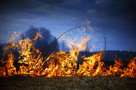 A spring fire. Burning grass. Field Smoke Background