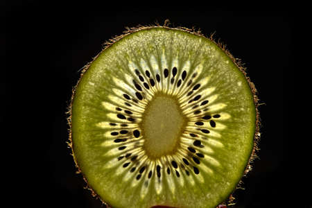 Slices of kiwi fruit on kiwi background.の写真素材