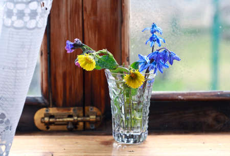 snowdrop flowers in a window in the springの写真素材