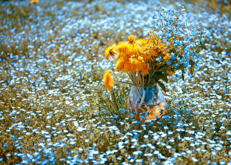 bouquet with forget-me-not and dandelionsの写真素材
