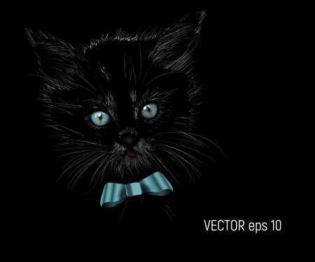 Vector Illustrated Portrait of Cat on black backgroundのイラスト素材