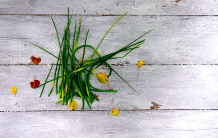 Green raw garlic arrows on an old table. Top viewの写真素材