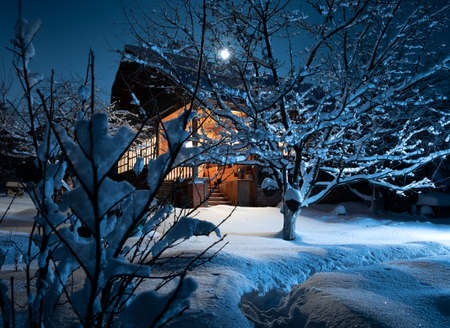 wooden house in winter forest. night. moonlightの写真素材