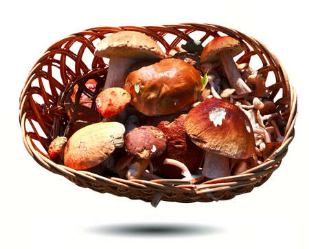 Mushrooms in basket isolated on white. Autumnの写真素材