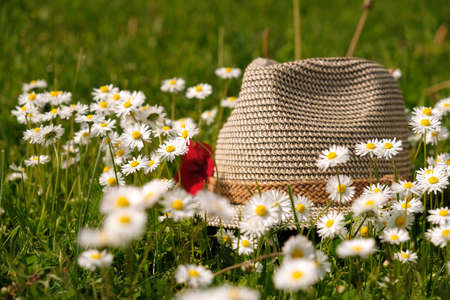 A Purple flower and grass flower on a hat in sun lightの写真素材