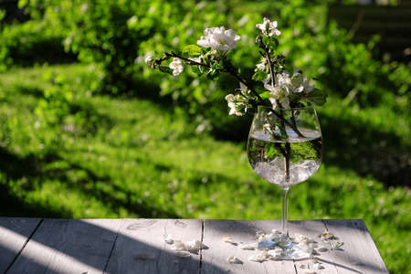 blossoming apple tree on the background of housesの写真素材