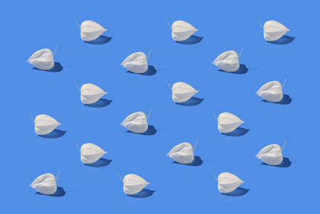 flower pattern of white physalis on blue background .の写真素材