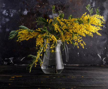 Mimosa flowers bouquet in a decanter on dark backgroundの写真素材