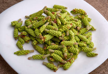 Green pine cones for therapeutic jam. Top view.の写真素材