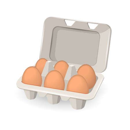 Eggs in box on white background. vector illustration.のイラスト素材