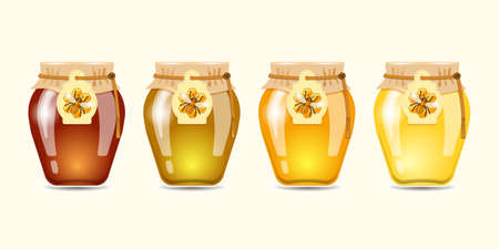 Honey of different type set. vector illustration.のイラスト素材