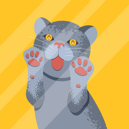 Ð¡ute british cat behind glass. vector illustration.のイラスト素材