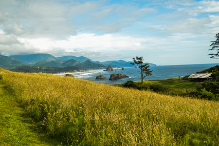 Hills above cannon beachの写真素材