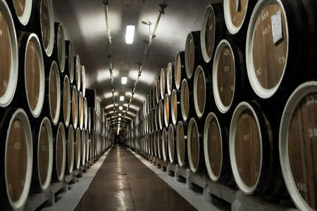 Stretching into the distance barrels filled with wine in the cellar of the winery in the Crimea