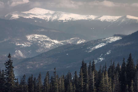 Winter in the Carpathians. Ski resort Dragobrat. Snow-capped mountains against a beautiful sky and pine forestsの写真素材